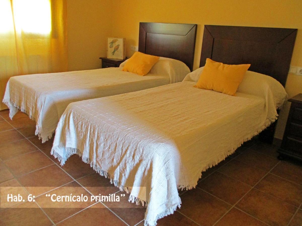 Casa Rural El Nidal Casas de Don Pedro Eksteriør bilde