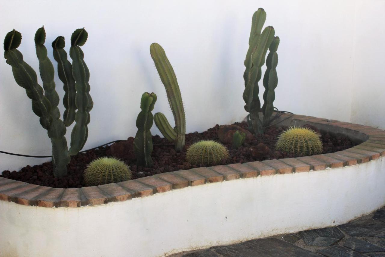 Casa Rural El Nidal Casas de Don Pedro Eksteriør bilde